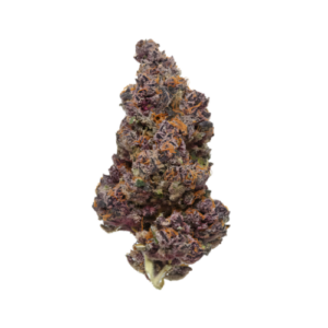Tropical Cherry