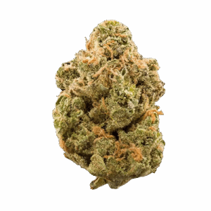 Blue Berry X Lemon Cherry Gelato
