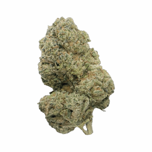 Blue Dream X Purple Punch