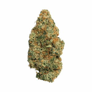 GMO X G41