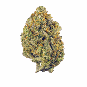 Lemon Orange